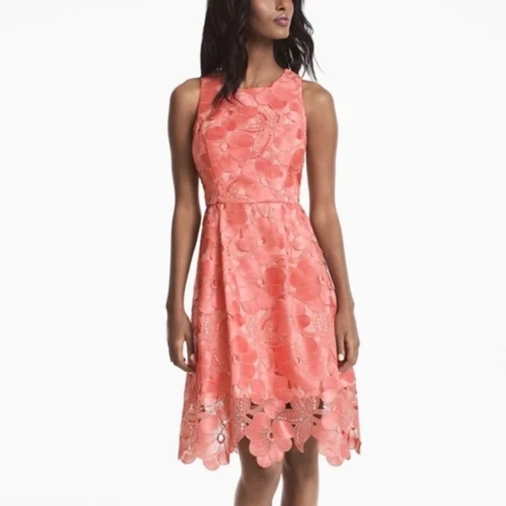 White House Black Market Tonal Lace Fit and Flare Dress